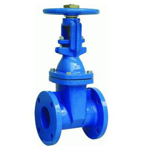 Dragon gate valve